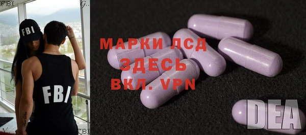 ешки Новодвинск
