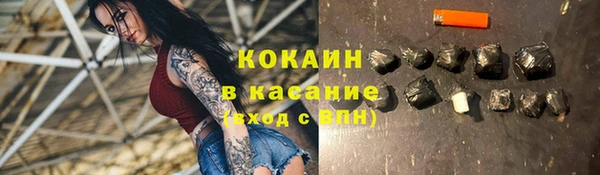 бошки Алексин