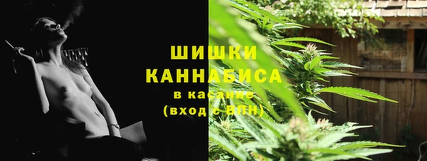 бошки Алексин