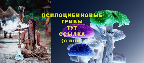 амф Алексеевка