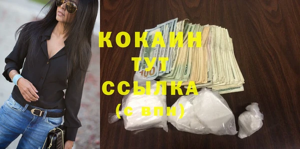 бошки Алексин