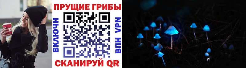 наркота  Топки  Галлюциногенные грибы Magic Shrooms 