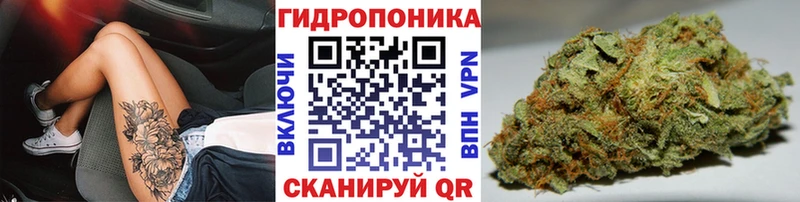 Канабис гибрид  Топки 
